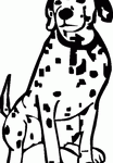 Dalmation Dog Breed Decal 18