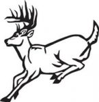 Deer Hunting Decal Sticker 18