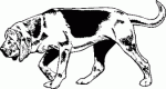 Dog Breed Decal 32