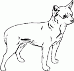 Dog Breed Decal 40