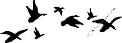 Duck Hunting Decal Sticker 12