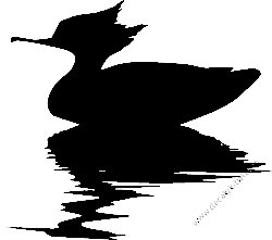 Duck Hunting Decal Sticker 32