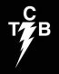 Elvis TCB Band Decal