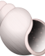 Emoji_Spiral_Shell
