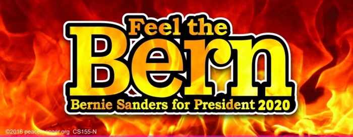 FEEL THE BURN BERNIE SANDERS 2020 STICKER