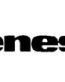 Genesis Decal