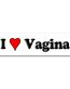 I Love Vagina Vinyl Bumper Sticker