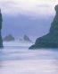 Oceans and Surf Wall Graphic Decals 26