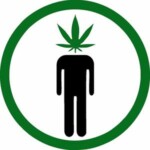 POT HEAD ROUND STICKER