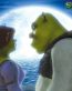 Shrek Decals and Vinyl Wall Graphics 01