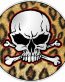 SKULL CIRCULAR FILLS Skin Leopard