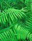 Spring TIme Vinyl Wall Decals 17
