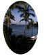 st thomas oval  sticker