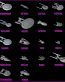 Star Trek Color Decal 03