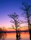Sunrise and Sunsets Wall Decals 009