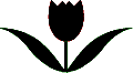 Tulip Decal