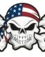 usa skull and crossbones sticker 66