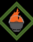 Webelos Cast Iron Chef