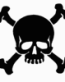 Skull 1 decal