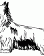 051 Yorkshire Terrier Yorkie Decal