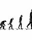 Evolution Vinyl Decal