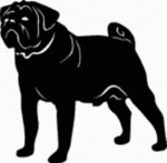 Pug Dog Decal