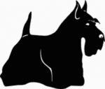 Scottish Terrior Dog Decal