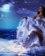Fairies and Fantasy Wall Graphics 084