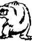 628 Grizzly Bear Decal