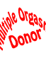 Multiple Doner decal