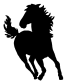 Stallion vinyl car sticker