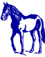 Horse car vinyl sticker