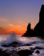 Beaches and Coastal Vinyl Wall Graphics 107