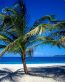 Beaches and Coastal Vinyl Wall Graphhcs 131
