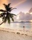 Beaches and Coastal Vinyl Wall Graphics 186