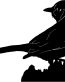Blue Jay Birds Animal Animals Vinyl Decal Sticker