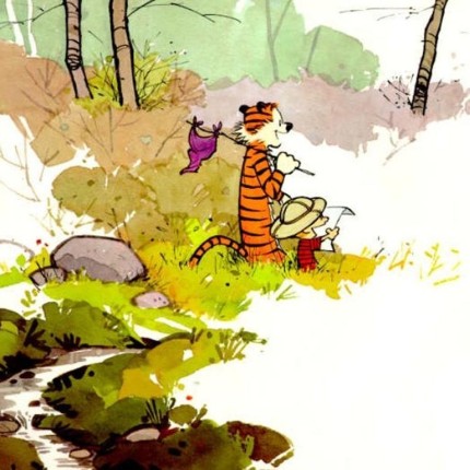 Calvin and Hobbes Rectangular Color Stickers 01