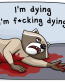 criminal raccoon_21