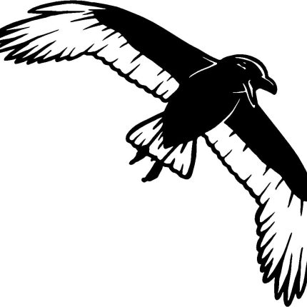 Crow Crows Animal Animals Vinyl Decal Sticker 02