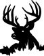 Deer Decal