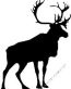 Deer Hunting Decal Sticker 21