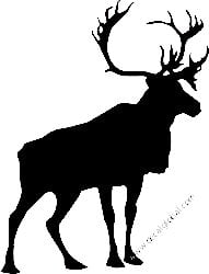 Deer Hunting Decal Sticker 21