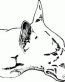 Dog Breed Decal 35