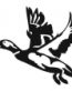 DUCK FLY HIGH DECAL 2