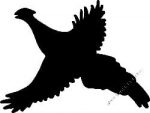 Duck Hunting Decal Sticker 13