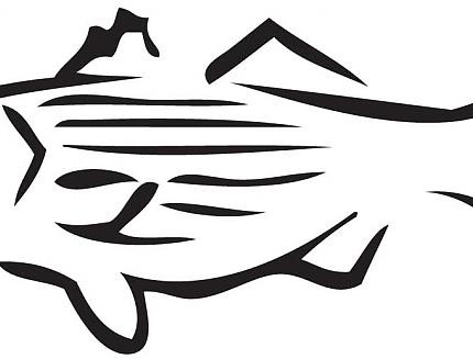 Fishing Decals Car Stickers 4