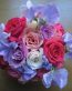 Flowers and Plants Vinyl Wall Art 111