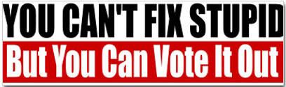 funny ploitical bumper-sticker-cant-fix-stupid