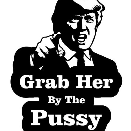 Grab-Her-By-The-Vinyl-Decal-Sticker-Trump-Funny-Anti-Hillary-Political-Dirty.jpg_640x640