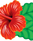 HAWAIIAN flower